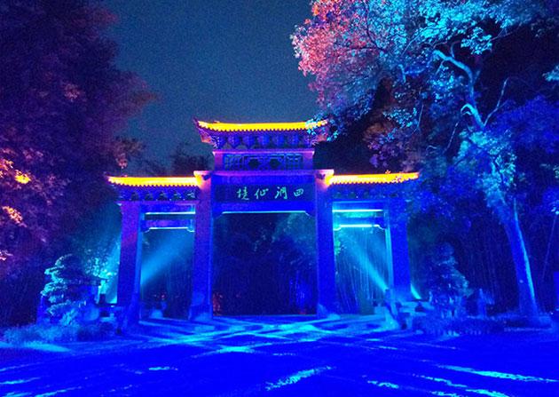 冷知识分享平台-芭蕉插在古树上——歇后语?,发现奇闻异事的乐趣!